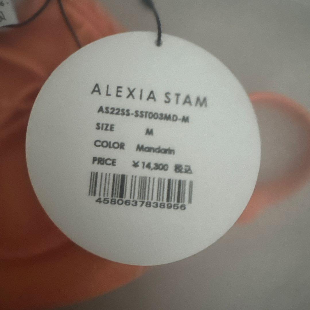 新品未使用ALEXIA STAM オレンジ トライアングルビキニ