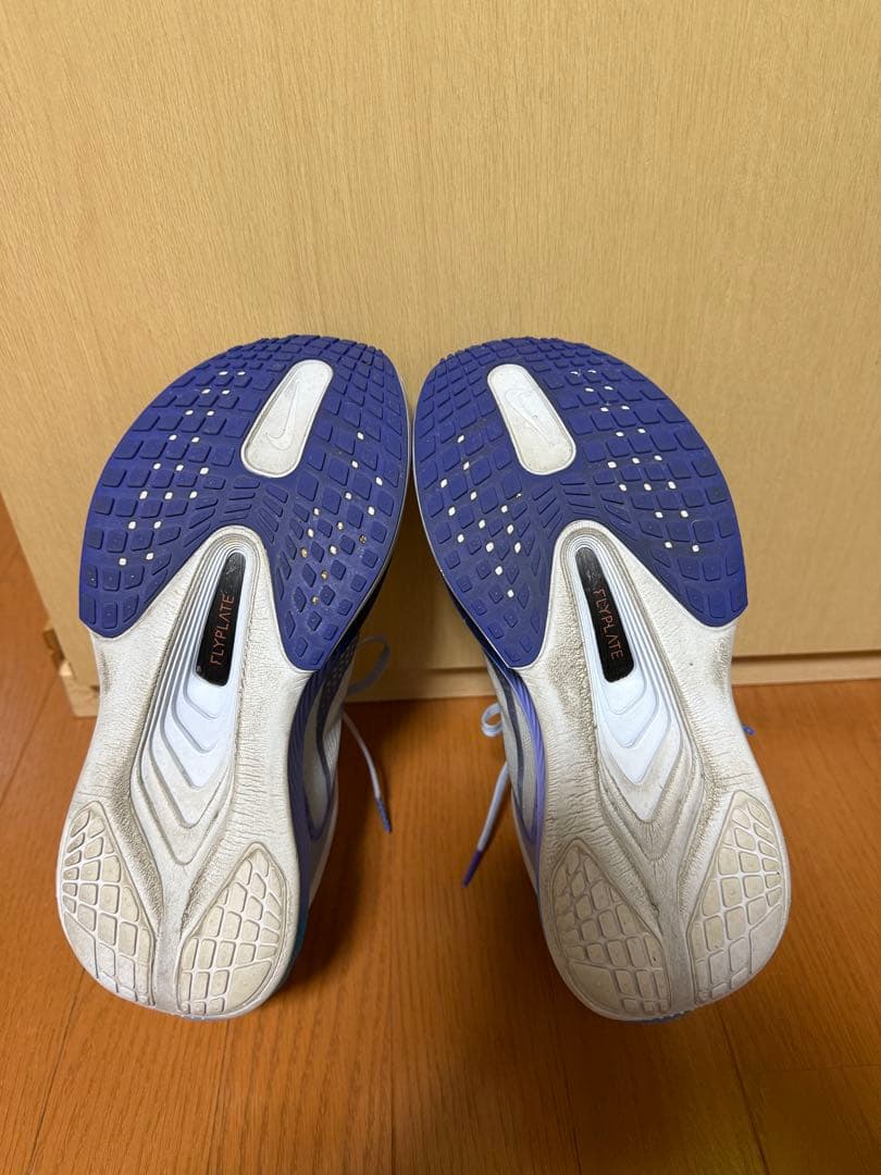 Nike ズームフライ6 28cm