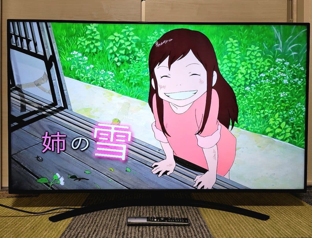 LG 55V型 4K内蔵 液晶テレビ 55NANO91JNA