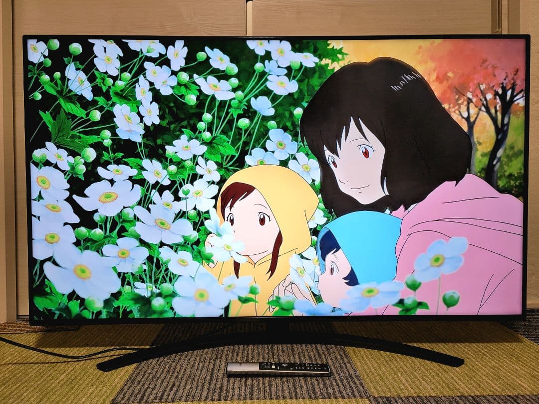 LG 55V型 4K内蔵 液晶テレビ 55NANO91JNA