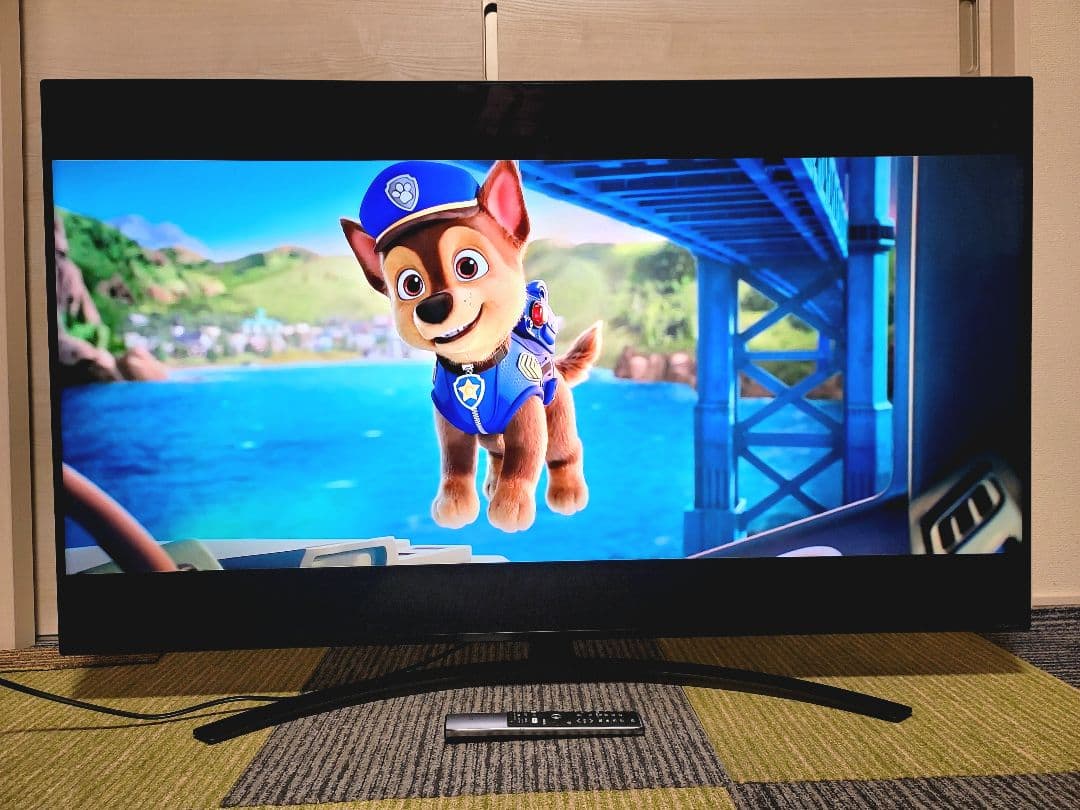 LG 55V型 4K内蔵 液晶テレビ 55NANO91JNA