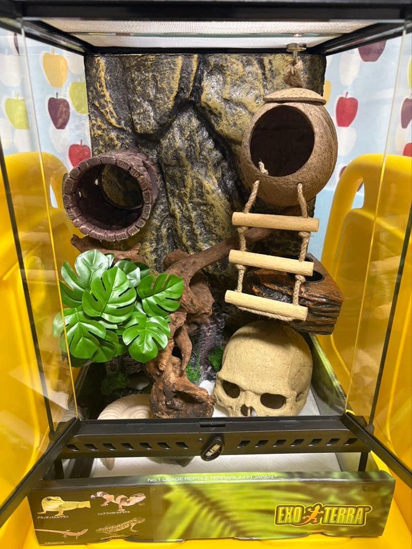 【未使用品】グラステラリウム3045 GEX