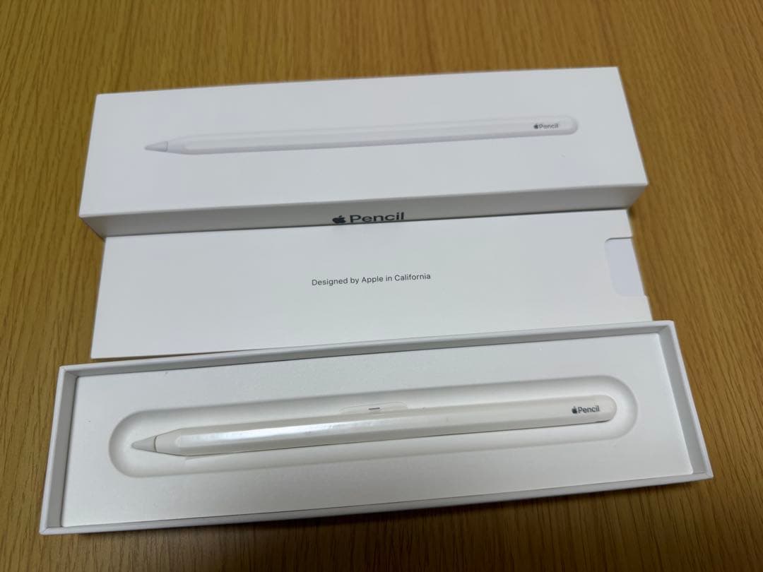 【Chaser Dream】iPad pro11インチ256GB 第2世代