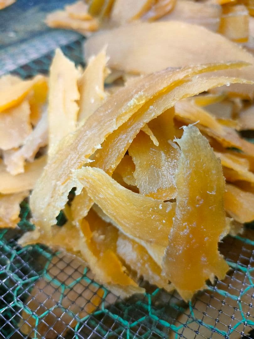 茨城県ひたちなか市産 せっこう 4キロ