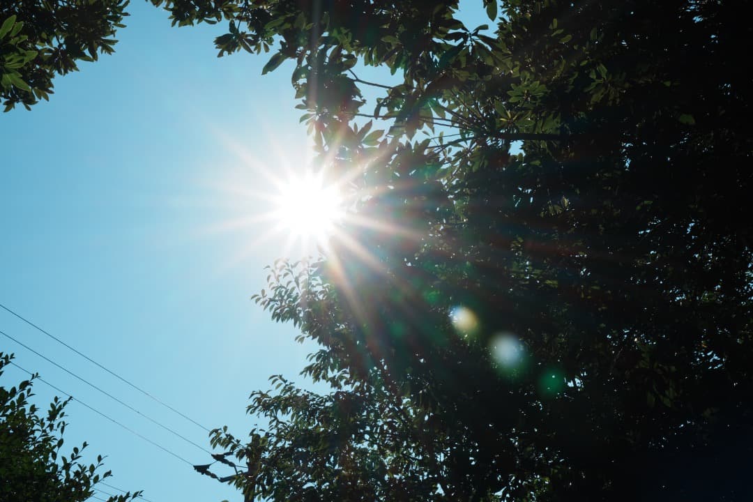 美品 SONY E30mm F3.5 Macro 等倍マクロ SEL30M35