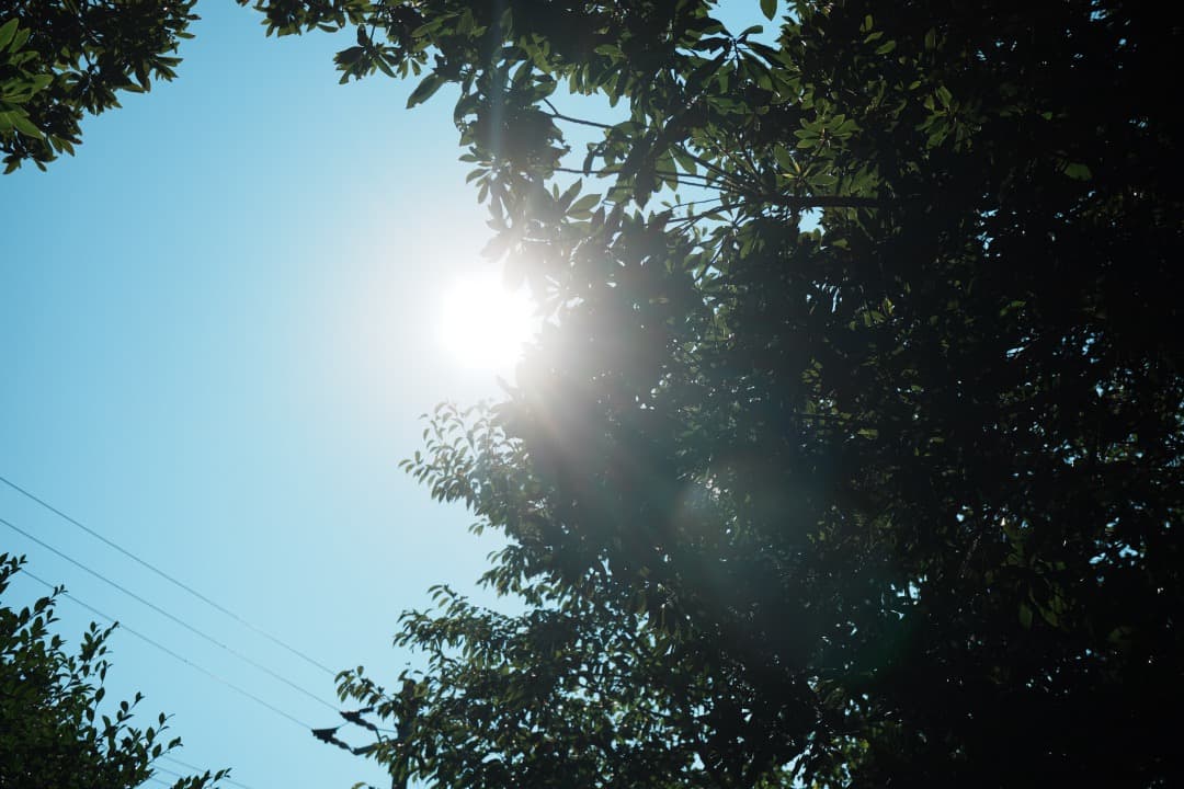 美品 SONY E30mm F3.5 Macro 等倍マクロ SEL30M35