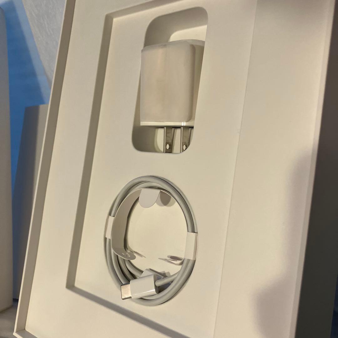 iPad Pro 11インチ Wi-Fi MTXN2/A