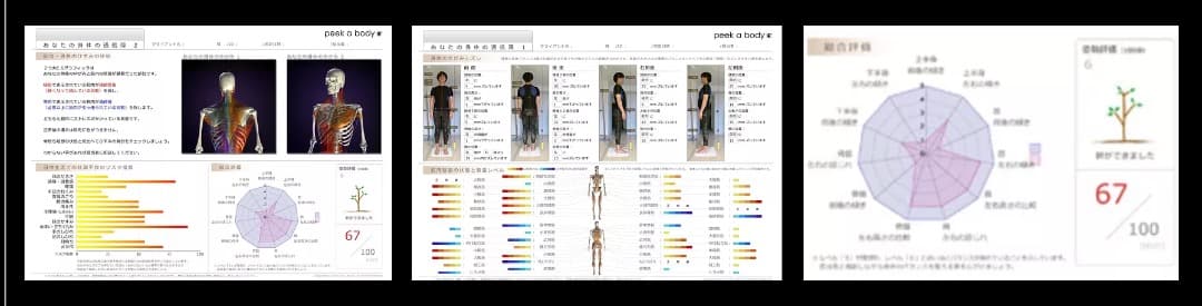 ☆大幅値下げ☆姿勢分析システムーPeek a bodyー
