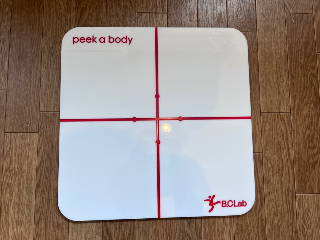 ☆大幅値下げ☆姿勢分析システムーPeek a bodyー