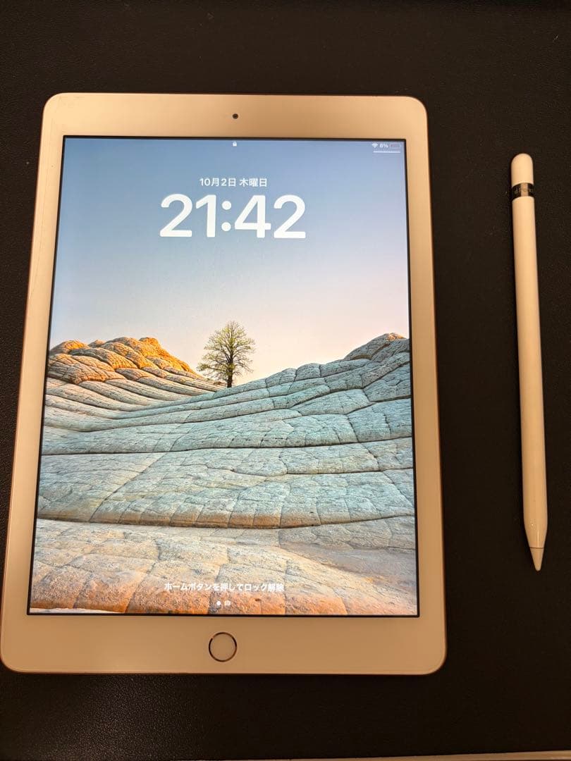 ipad第6世代ゴールドwifi(32GB)とApple pencil 第1世代