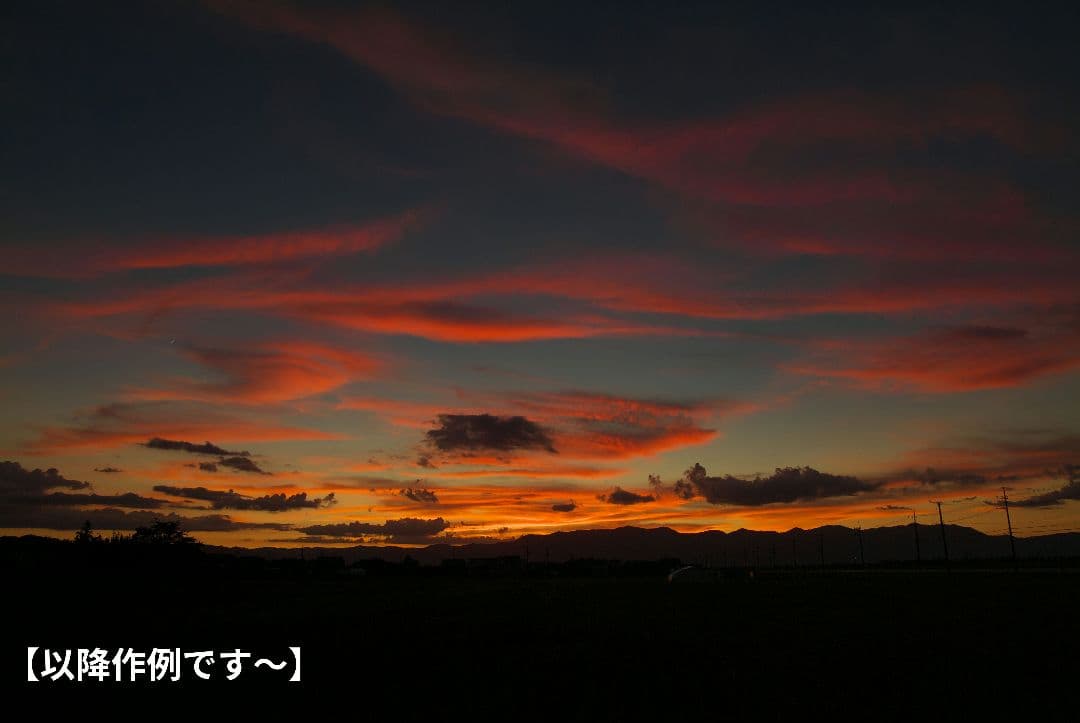 【超美品】Tokina SD 16-50mm F2.8 AT-X Pro