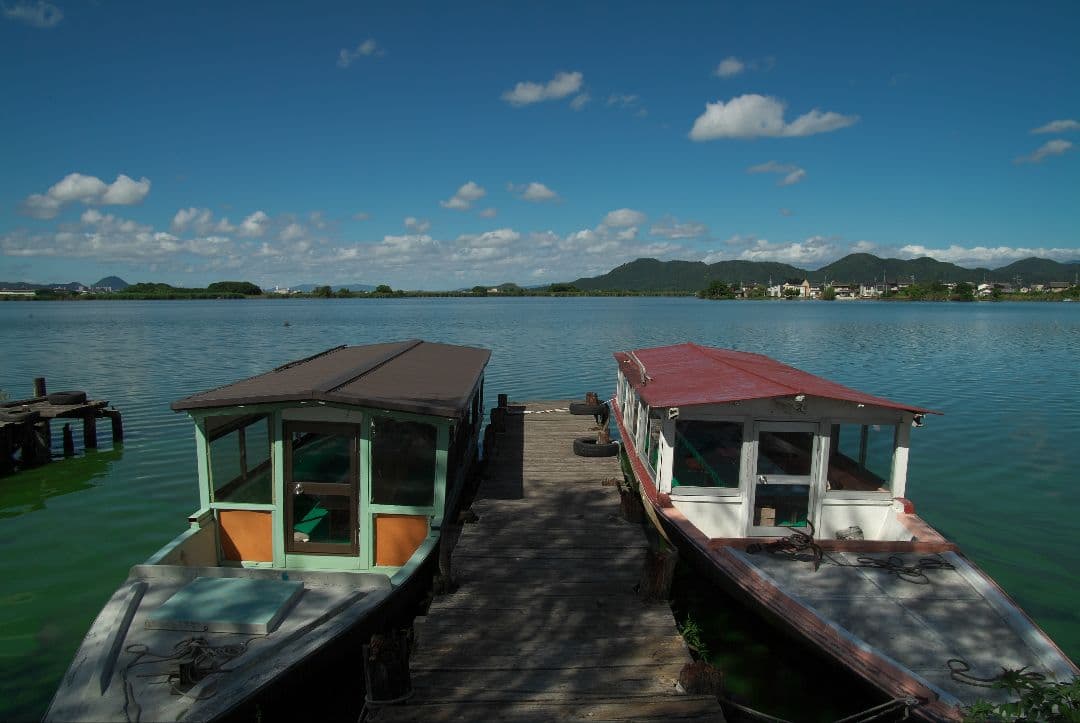 【超美品】Tokina SD 16-50mm F2.8 AT-X Pro