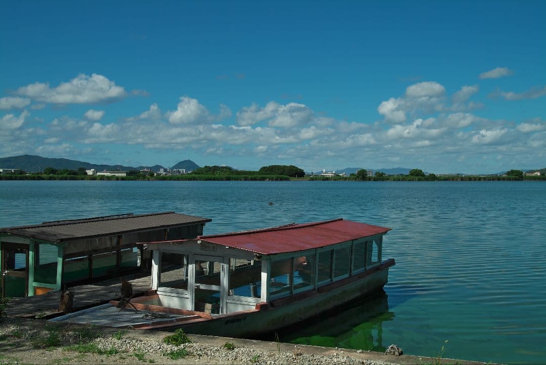 【超美品】Tokina SD 16-50mm F2.8 AT-X Pro