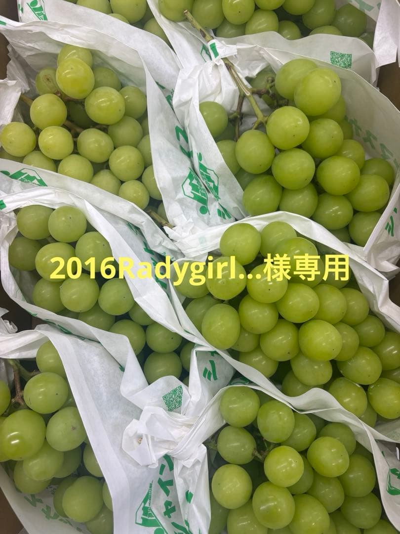 2016Radygirl...クール便シャインマスカット5k✖︎4ケース