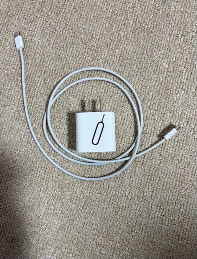 iPad Pro 第3世代 12.9インチ 512GB セルラー+Wi-Fi