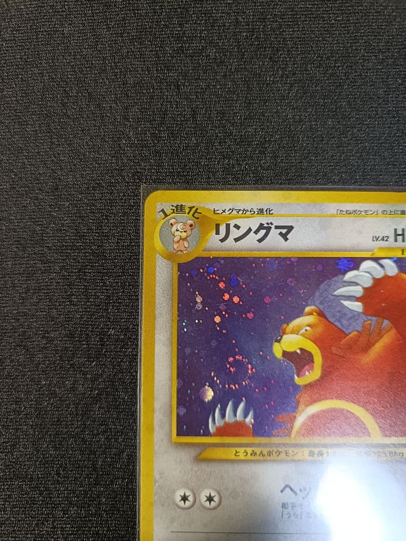 【NEW】リングマ 旧裏 /URSARING-HOLO