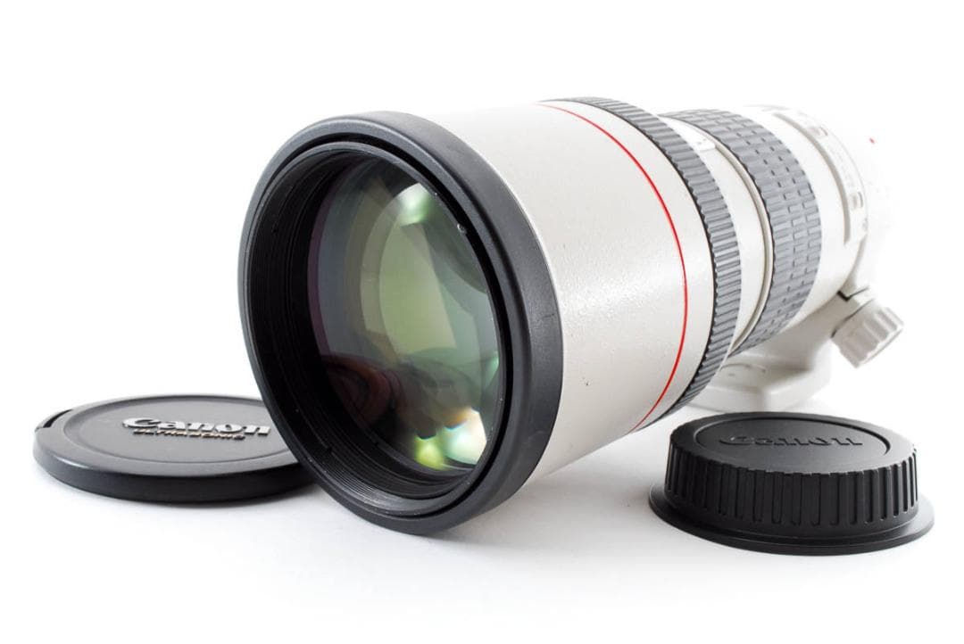CanonEF 300mm f4 L USM キャノン
