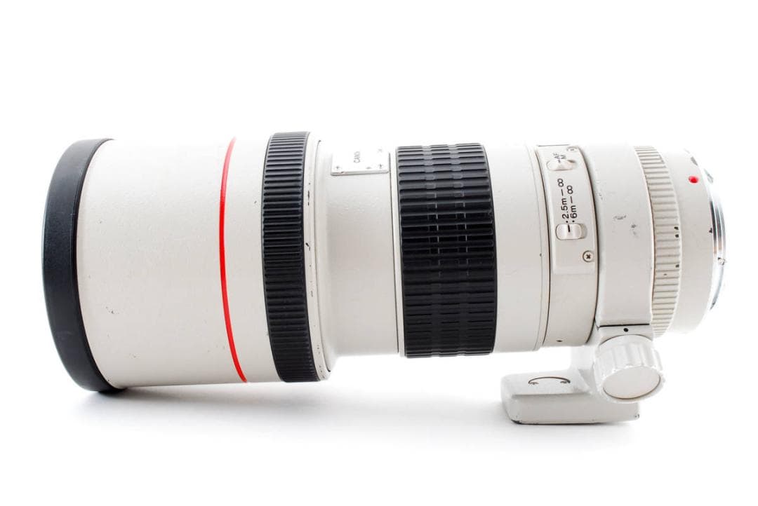 CanonEF 300mm f4 L USM キャノン