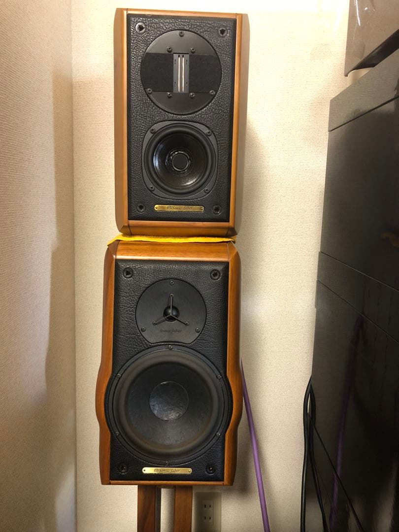 ソナスファベール Sonus Faber Minima FM2(改造品)