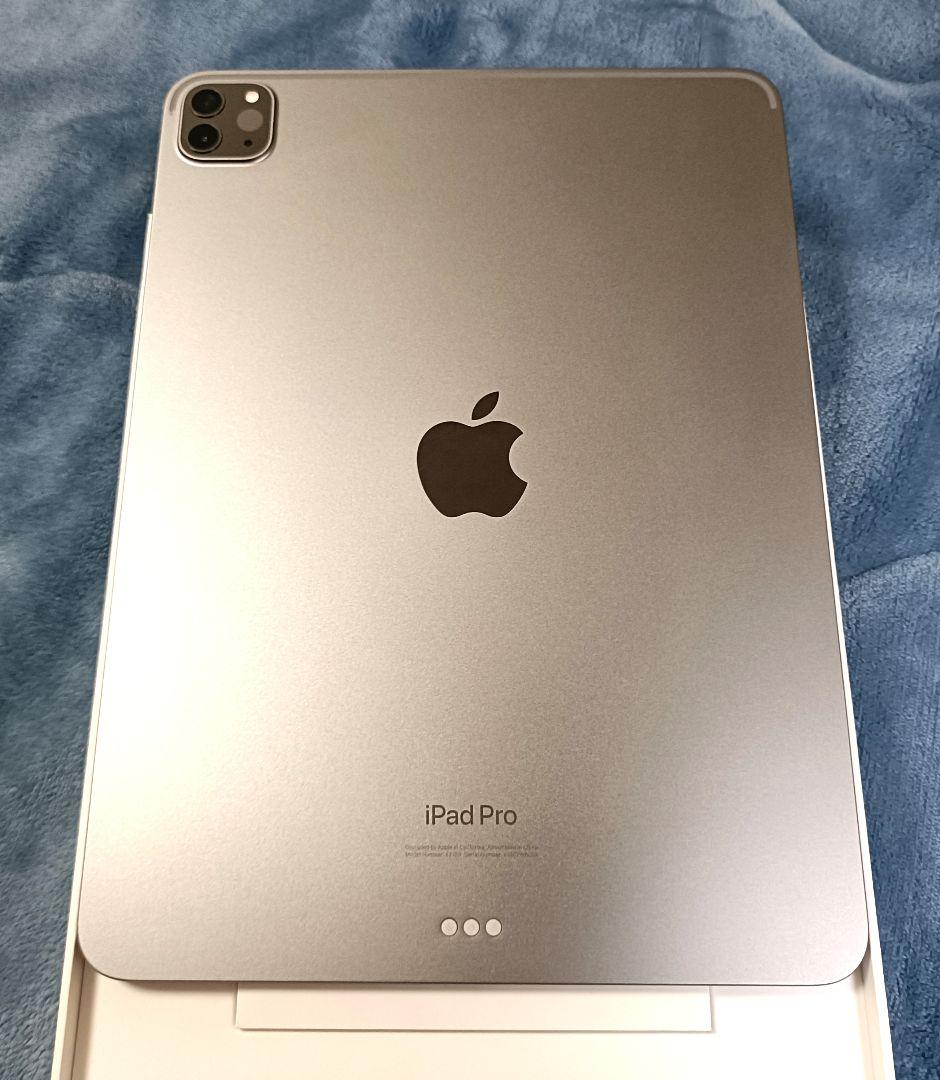 【美品】iPad pro 11 第4世代 256GB WiFiモデル