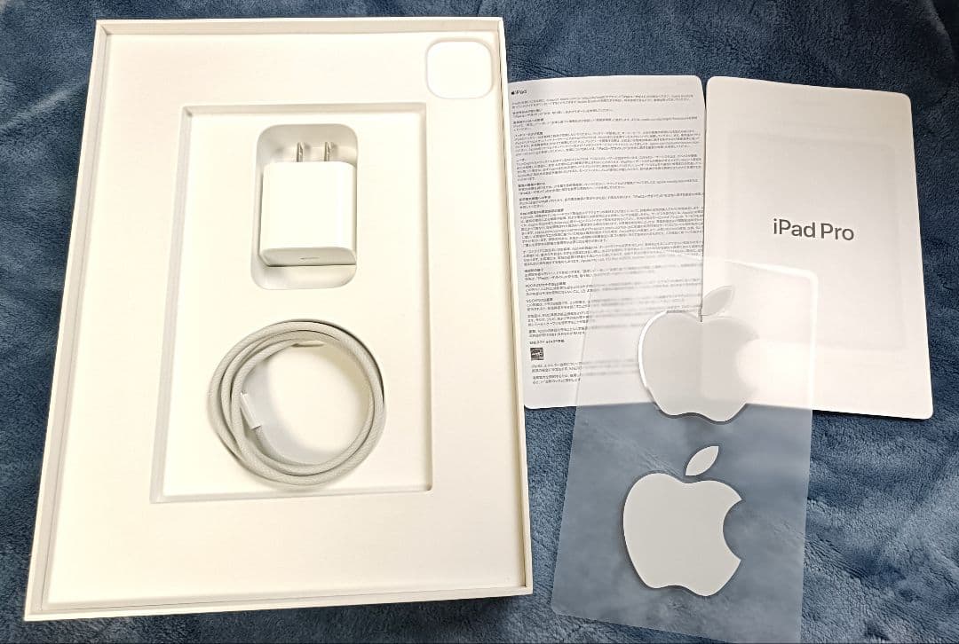 【美品】iPad pro 11 第4世代 256GB WiFiモデル