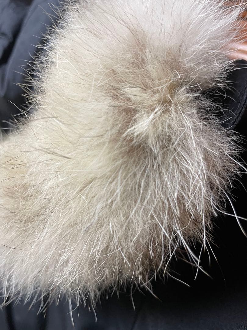 【美品正規品】  シタデル パーカ ダウンジャケット