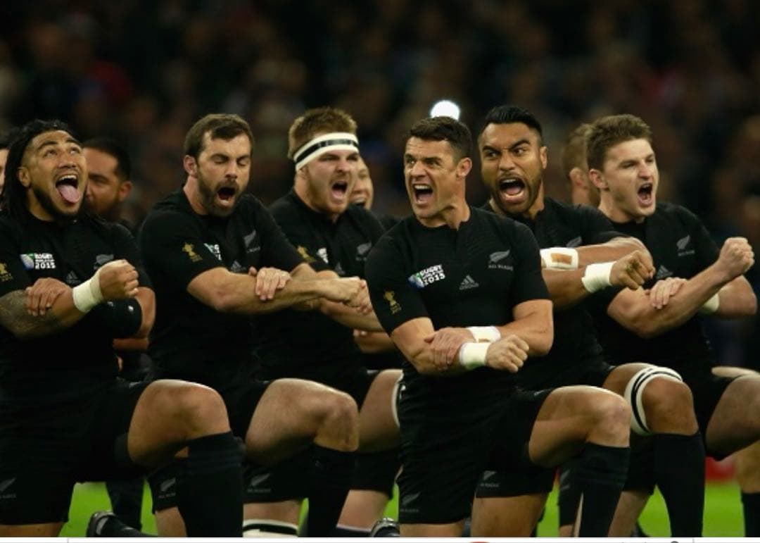 adidas ラグビーW杯公式　オールブラックス　ユニフォーム　メンズ　L