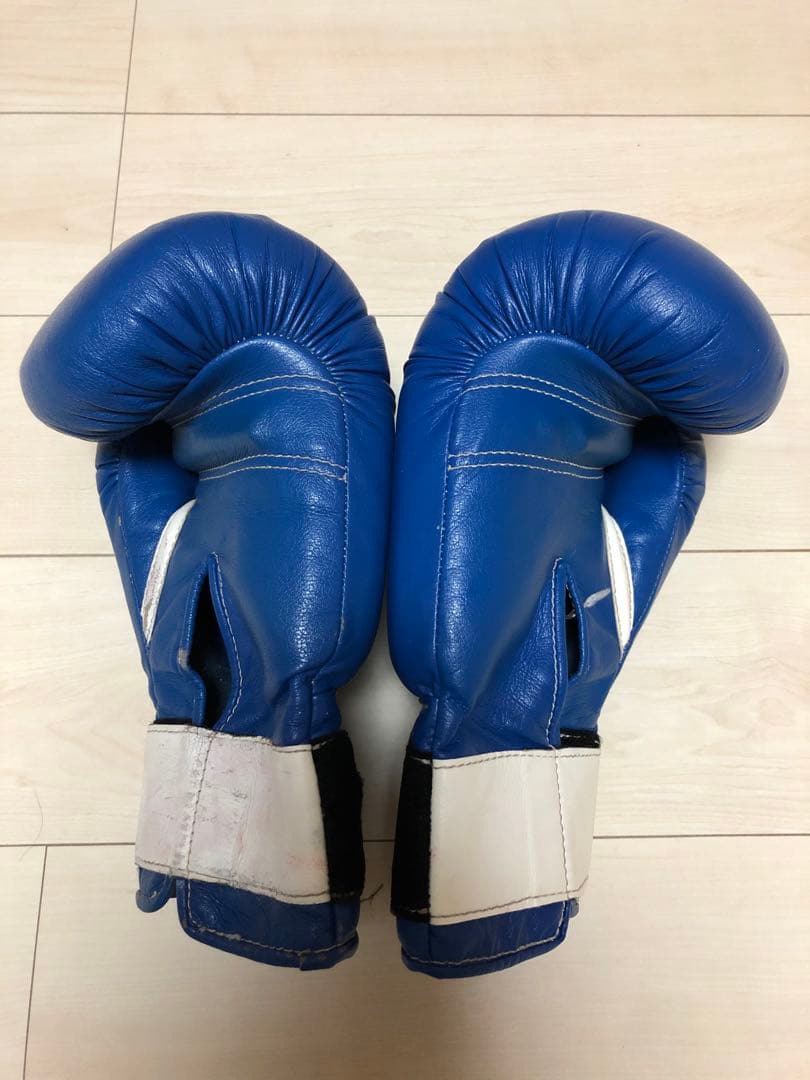 winning ウィニングボクシンググローブ ブルー　12オンス AM-12