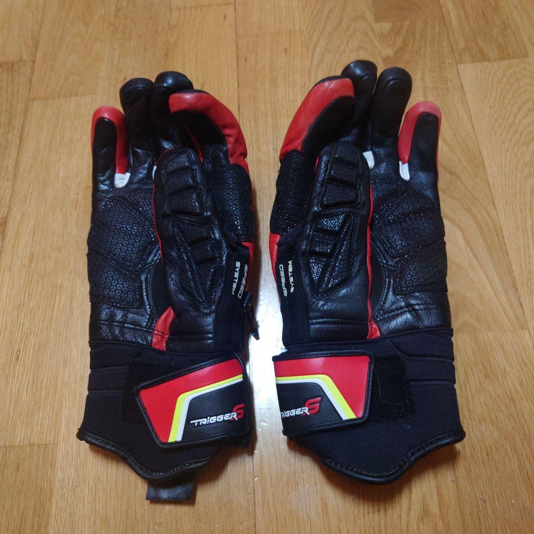 LEKI Worldcup スキーグローブ