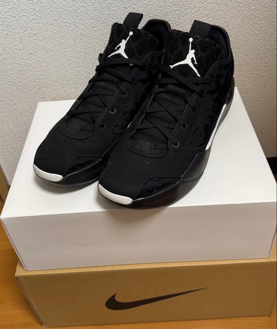 AIR JORDAN 39 us13 31cm ジョーダン39