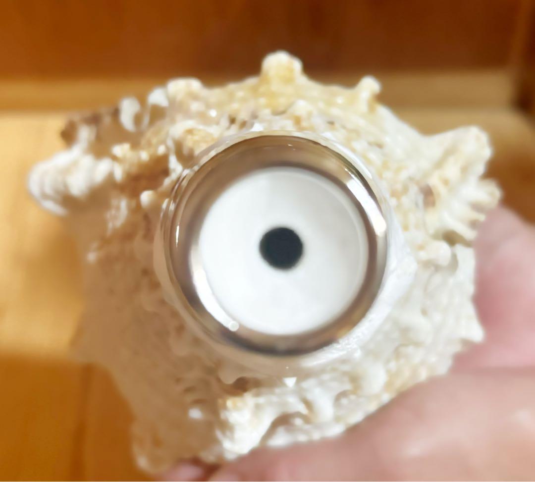 法螺貝　ほら貝　ホラガイ❣️