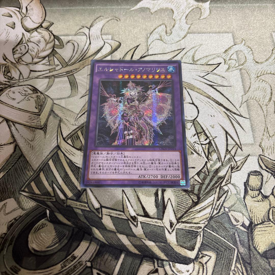 シャドール　アジア　まとめ