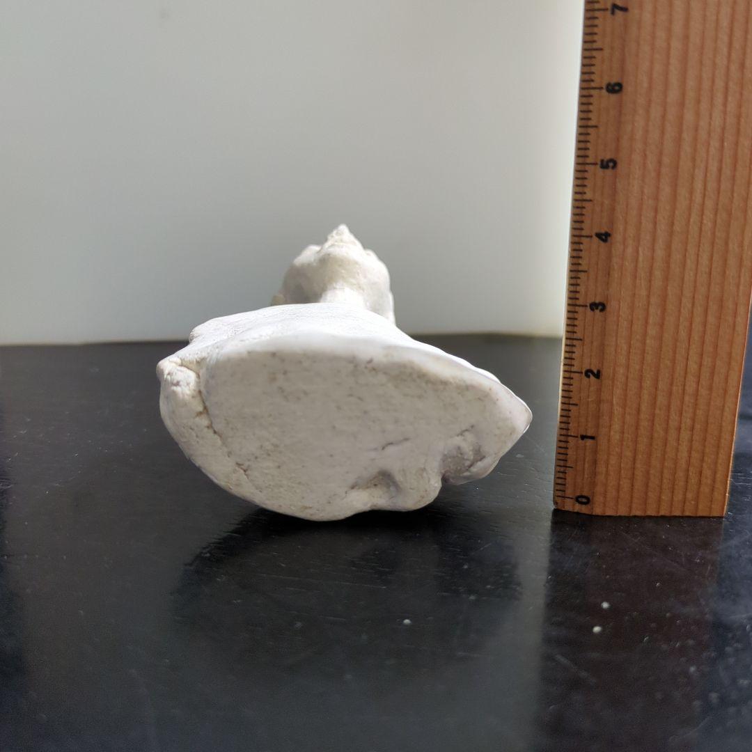 吉田次朗さん　　オブジェ　トルソー　ホワイト