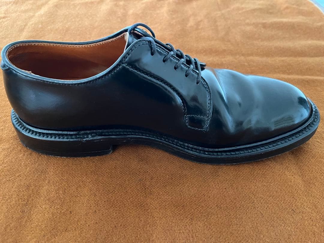 Alden 9901 コードバン6E
