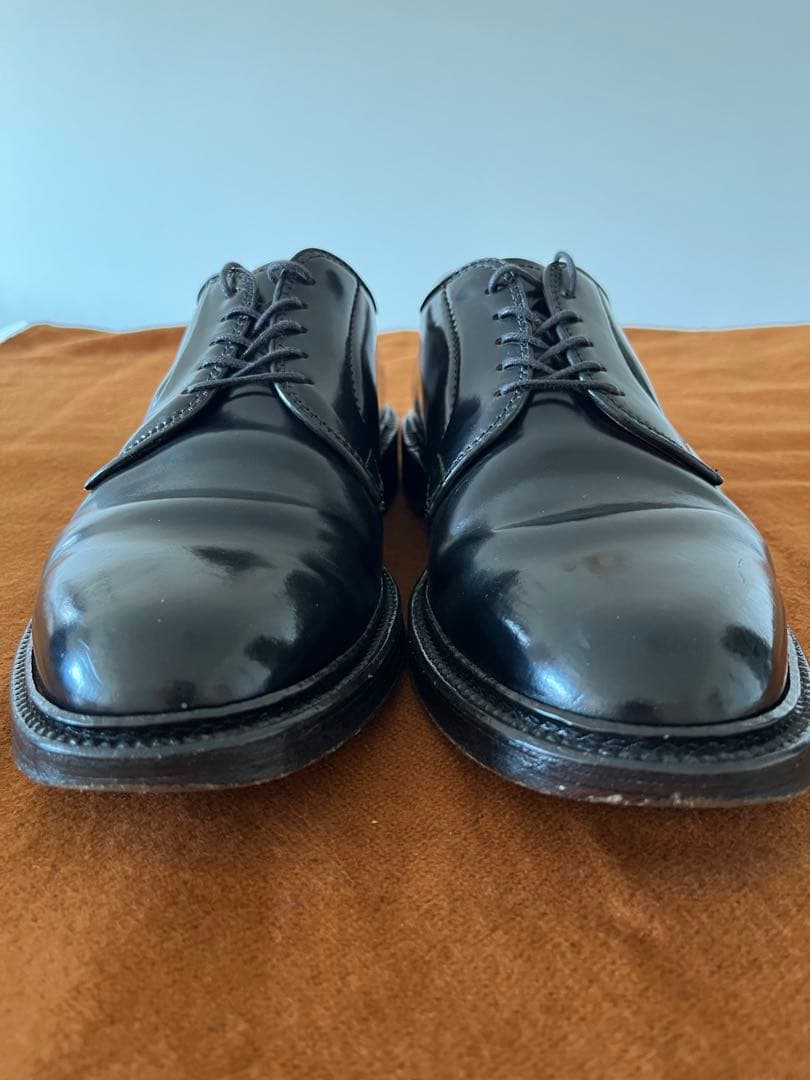 Alden 9901 コードバン6E