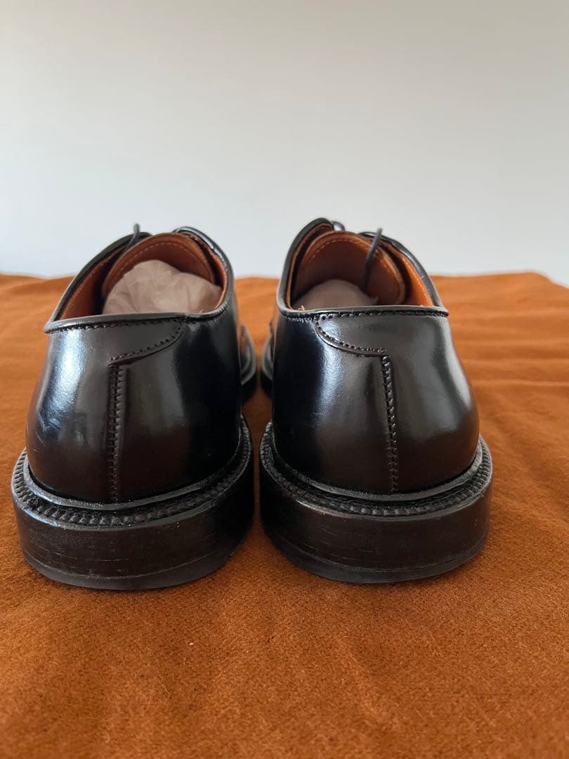 Alden 9901 コードバン6E