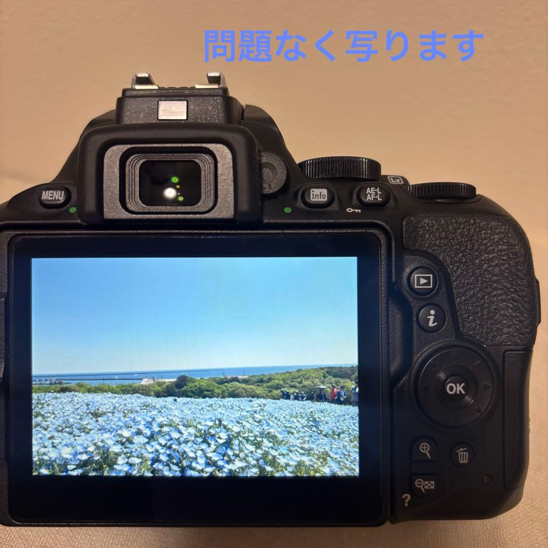 【極美品】使用回数少　Nikon D5600 ダブルズームキット