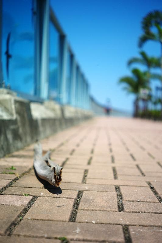 83　希少【RED P】　沈胴式オールドレンズ インダスター22　L39