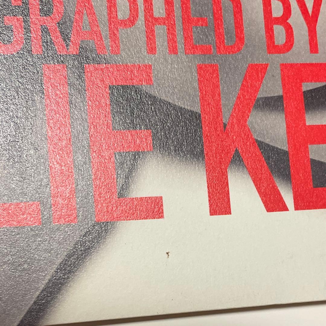 趣味・スポーツ・実用 superDDT photographed LESLIEKEE