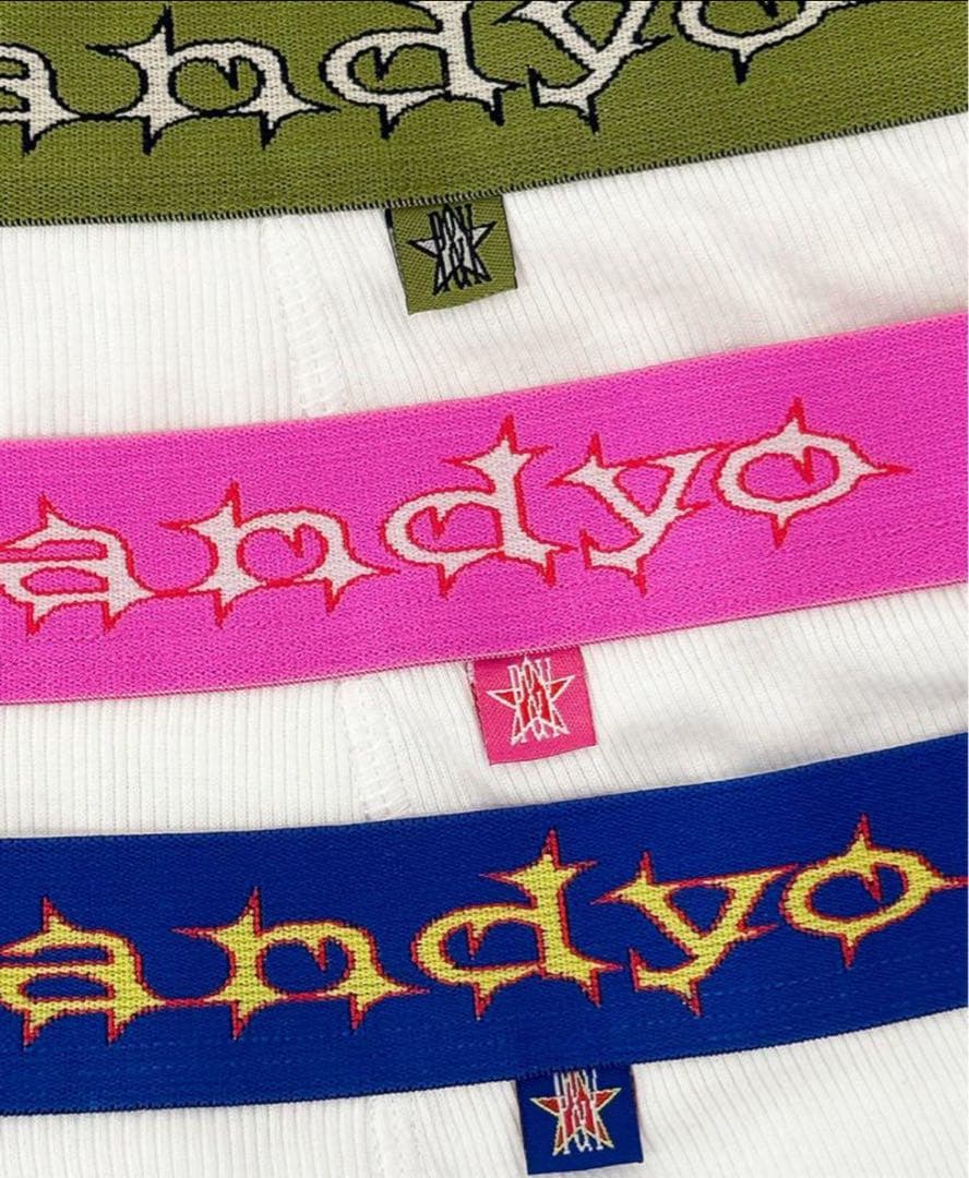 punkandyo ボクサーパンツ　3枚セット