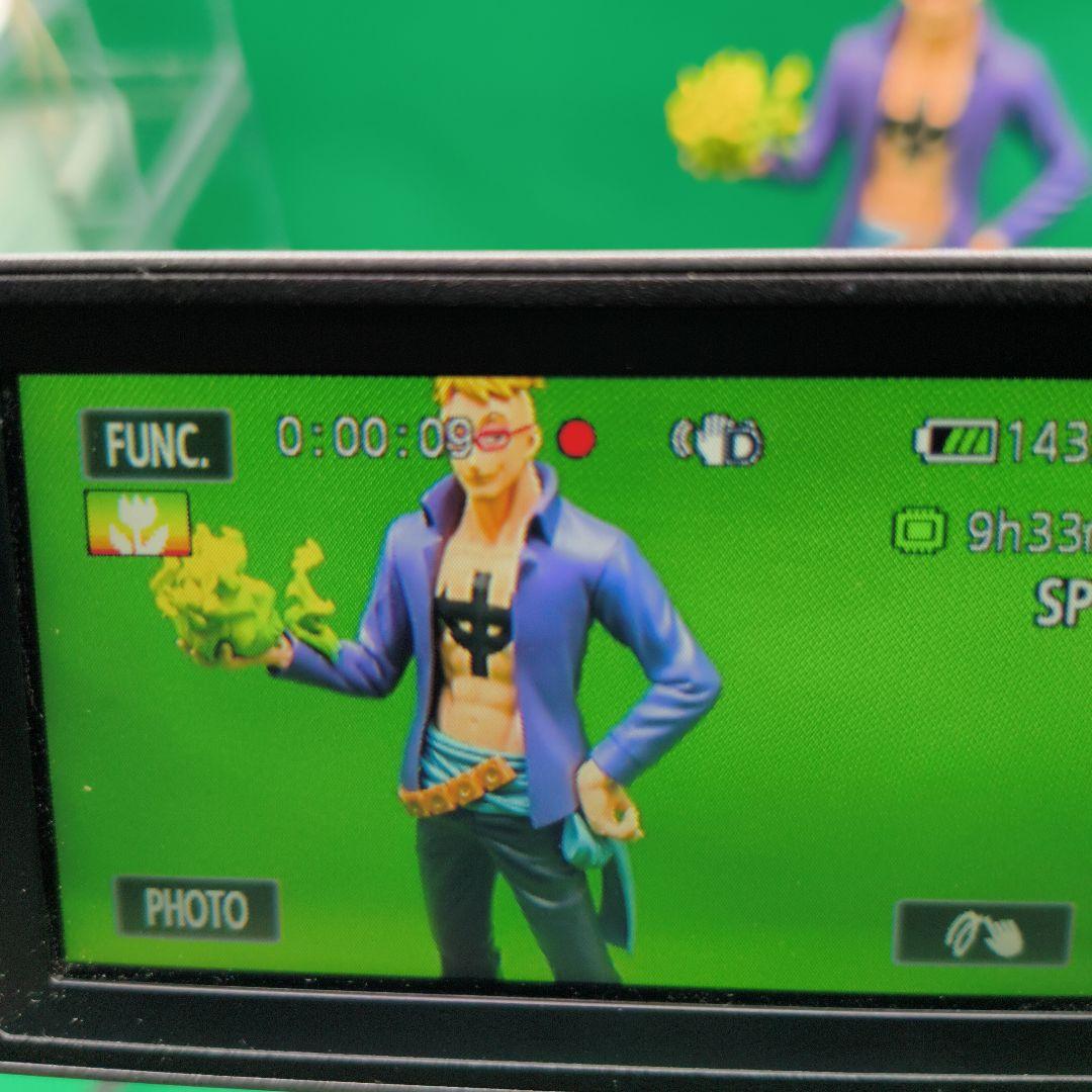 【動作確認済】Canon キヤノン iVIS HF M41 ビデオカメラ 本体