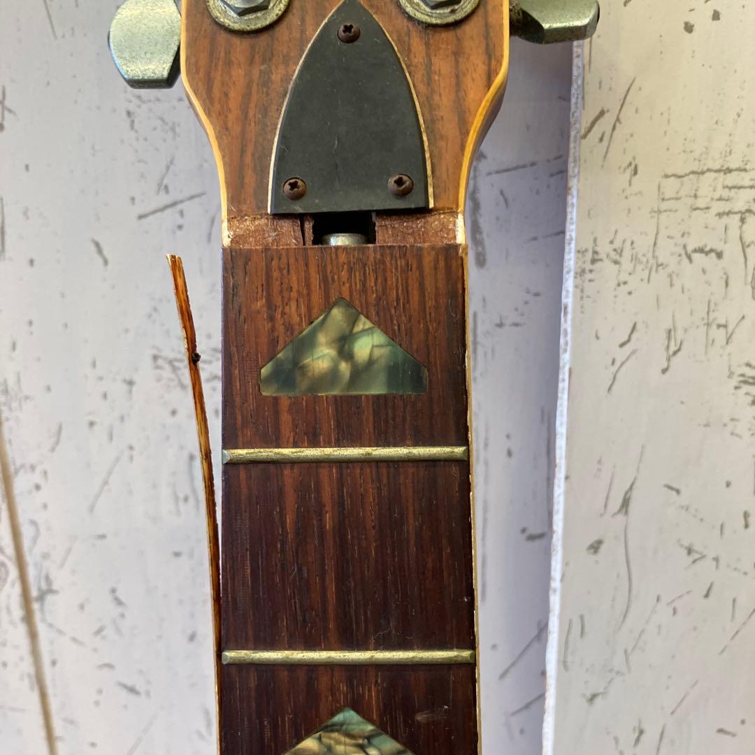 ジャンク品 ヒルビリー Hellbilly W-35 アコースティックギター