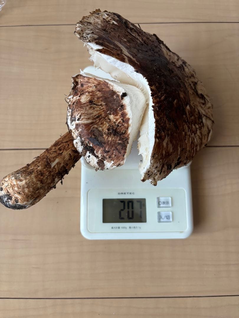 宮城県気仙沼産 松茸 207g