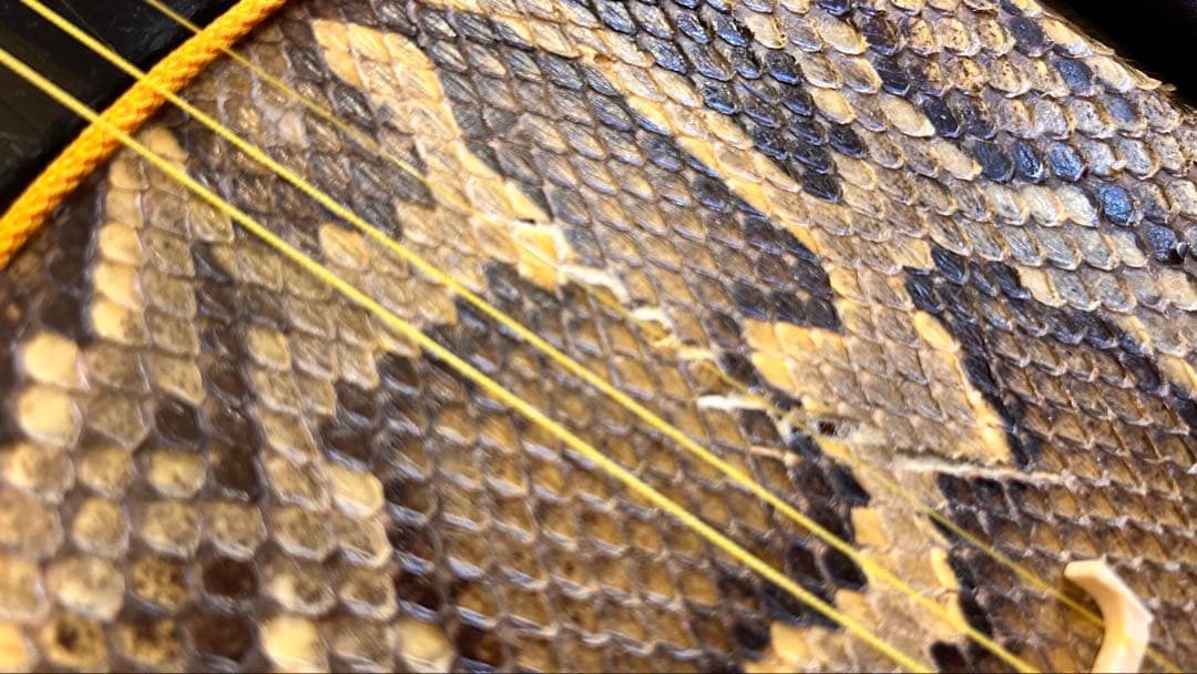 パールさん専用！【ジャンク】奄美 蛇皮三味線本体 3弦 角型おまけ付き