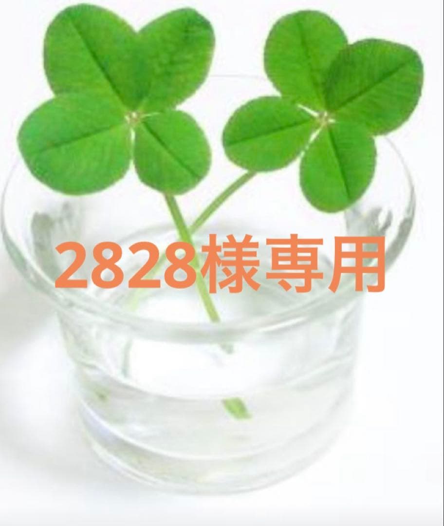 化粧水・ローション・トナー 2828