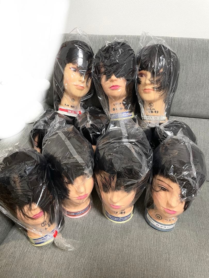 国家試験　カットウィッグ11体