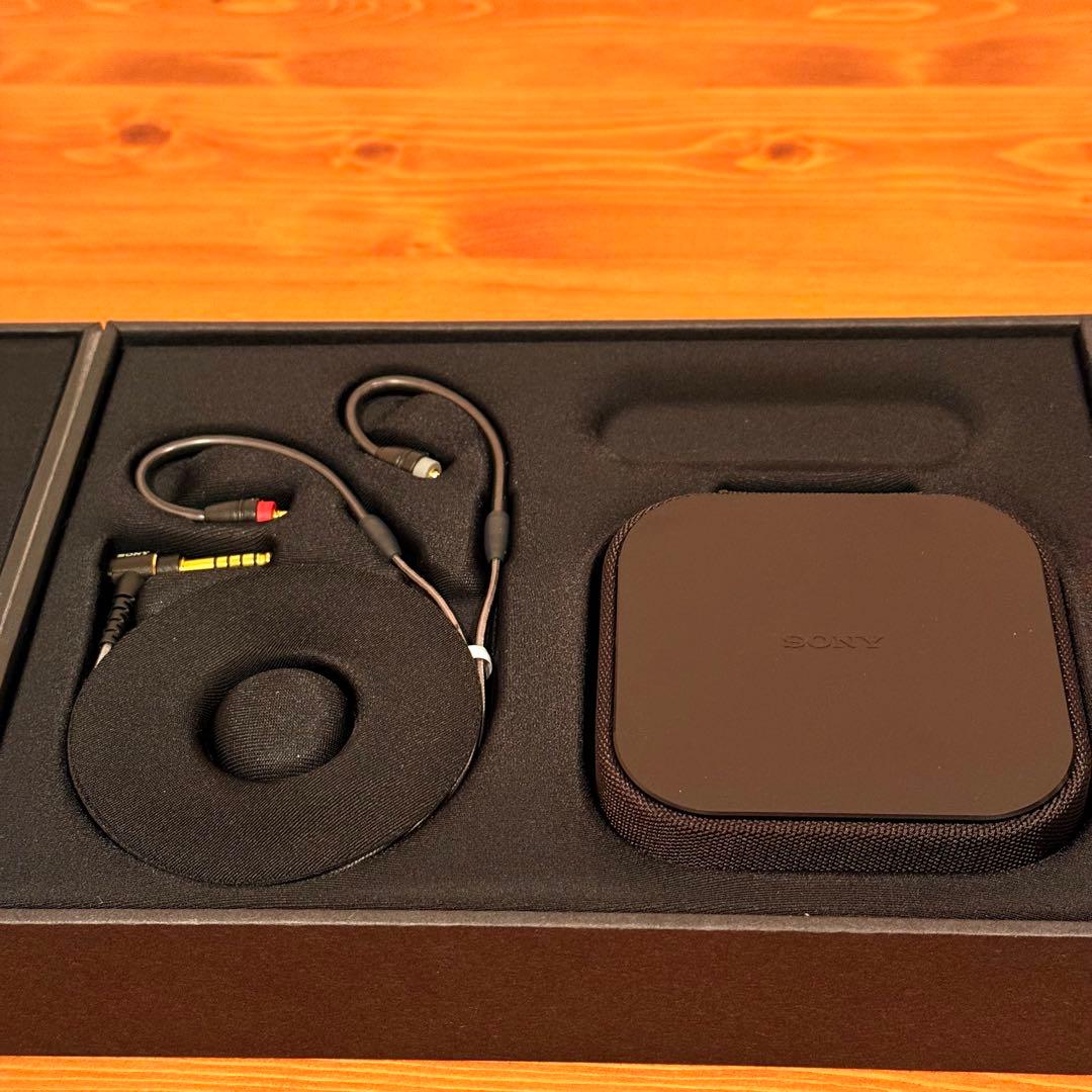 イヤホン SONY IER-M9