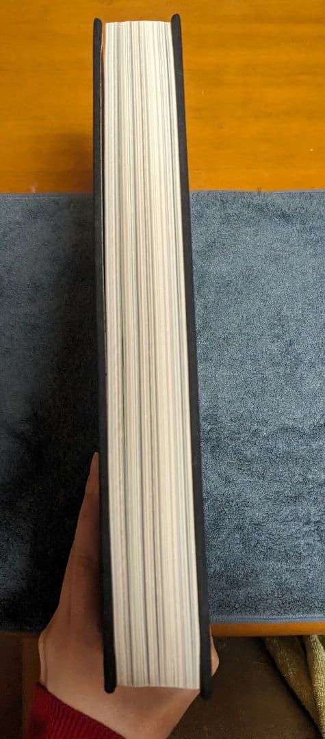 【ann】ティムバートンの世界 画集