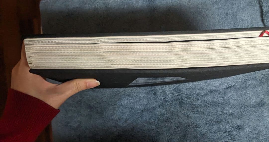 【ann】ティムバートンの世界 画集