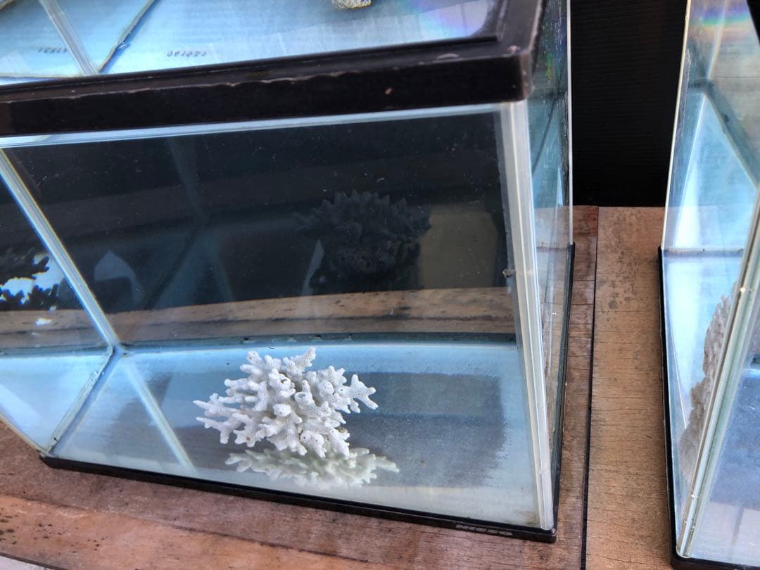 か*ん様 水槽45×30×H36cm 2本